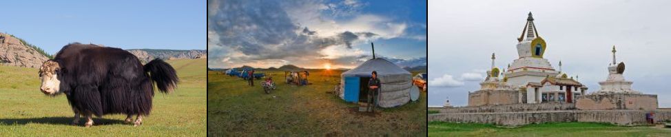 Reisen in die Mongolei